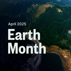 OUR COMMITMENT TO RESTORING NATURE